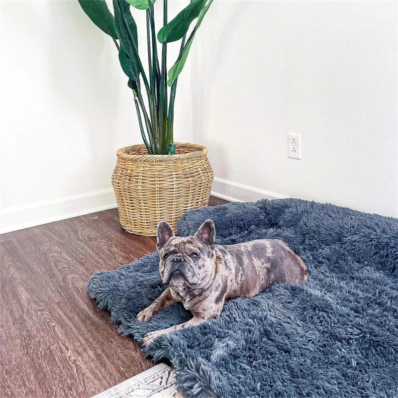 Cozy Bolster  Dog Bed